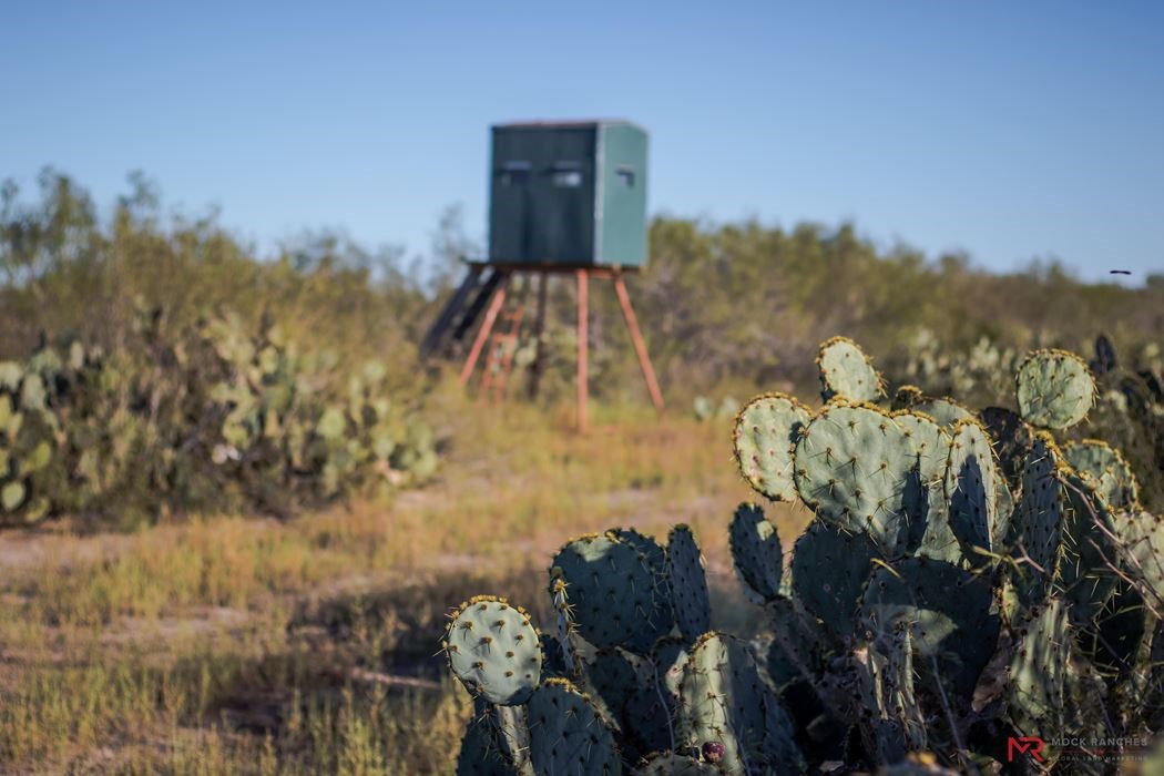 Tbd Dirty Shame Road Cotulla, TX 78014 - Photo 1 of 1 Gallery Image 1