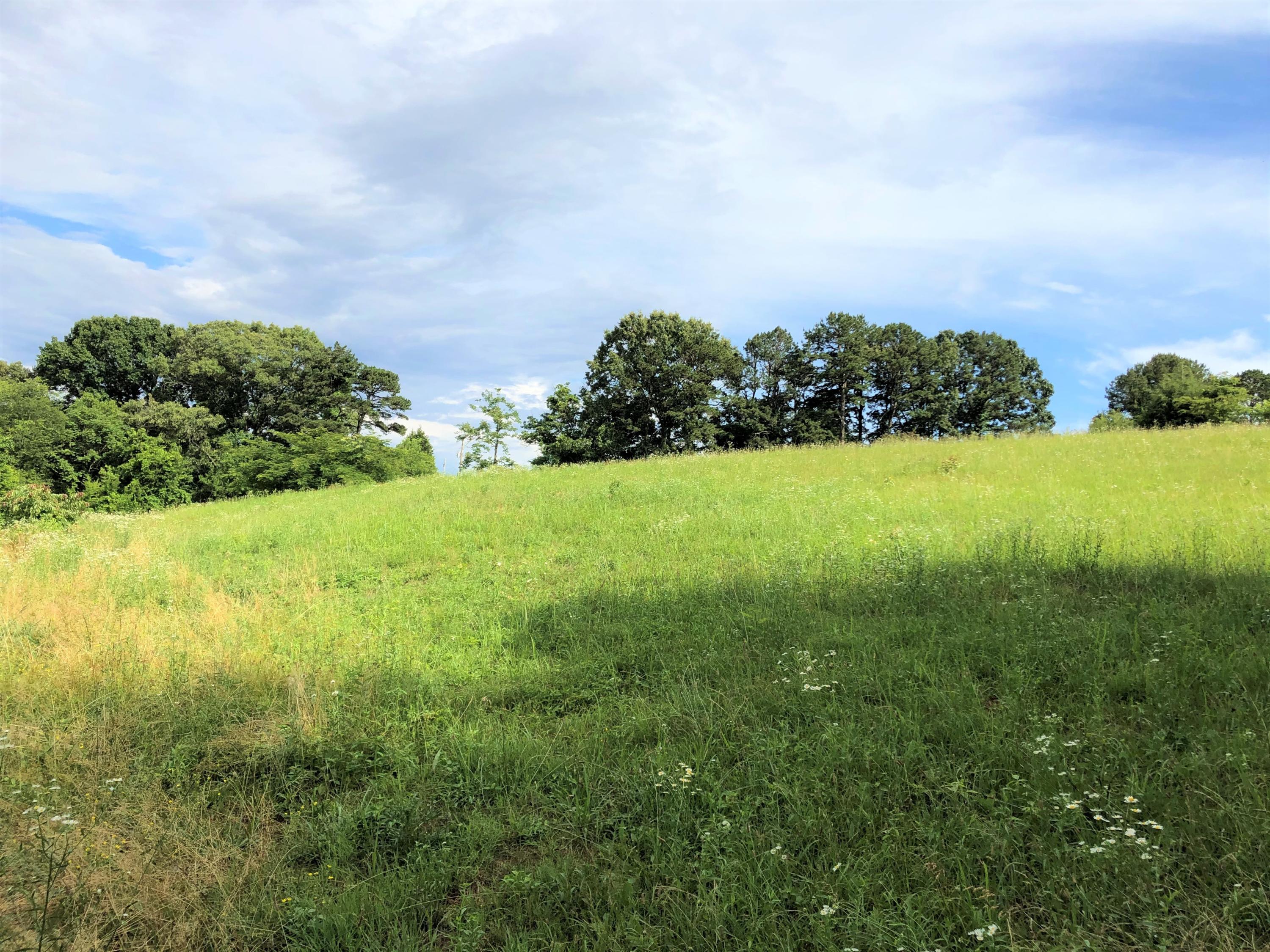 Lot 13 Chestnut Grove Road Dandridge, TN 37725 - Photo 2 of 12 Lot 13 Chestnut Grove - Dubler - 3