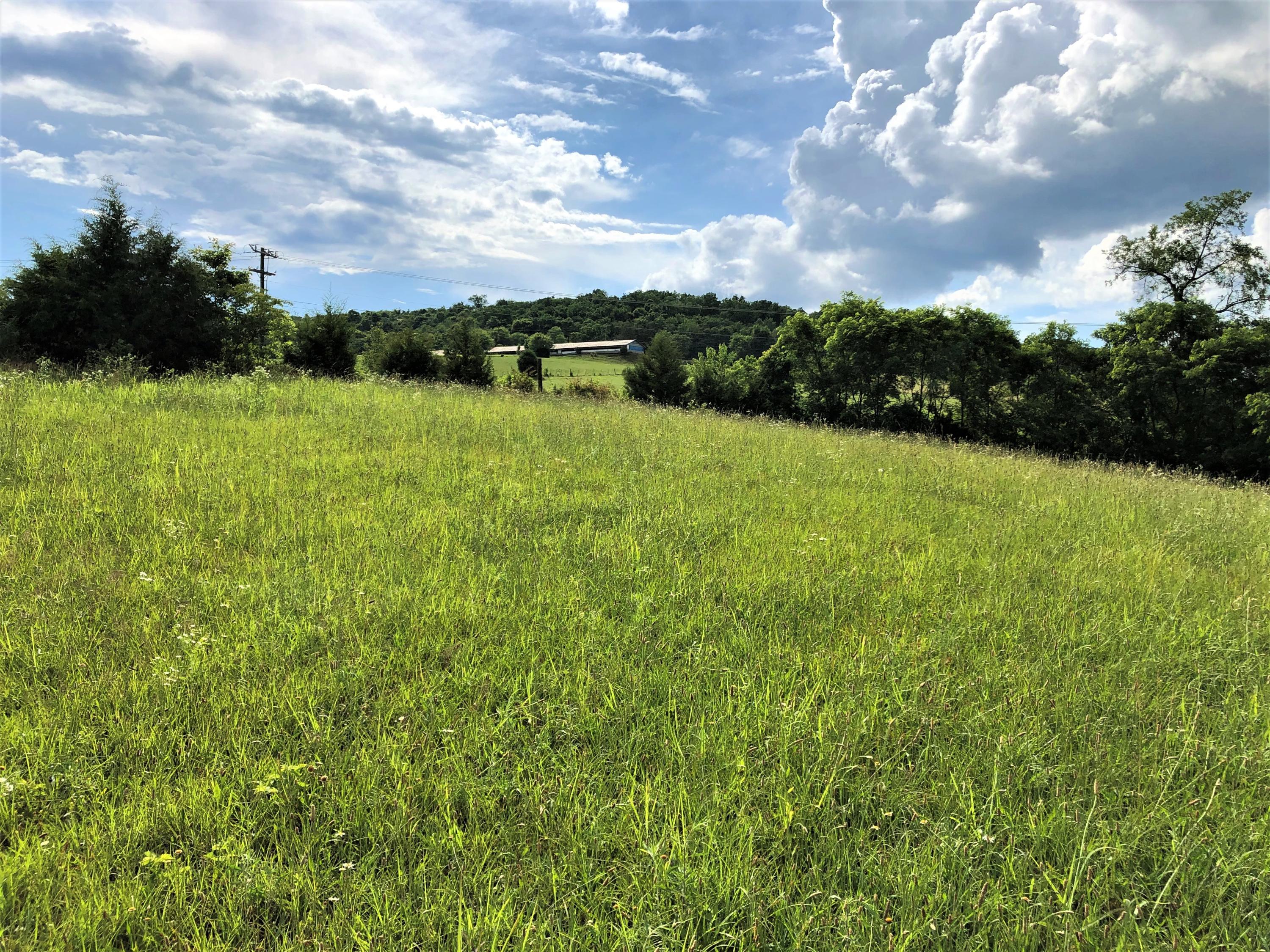 Lot 13 Chestnut Grove Road Dandridge, TN 37725 - Photo 11 of 12 Lot 13 Chestnut Grove - Dubler - 12