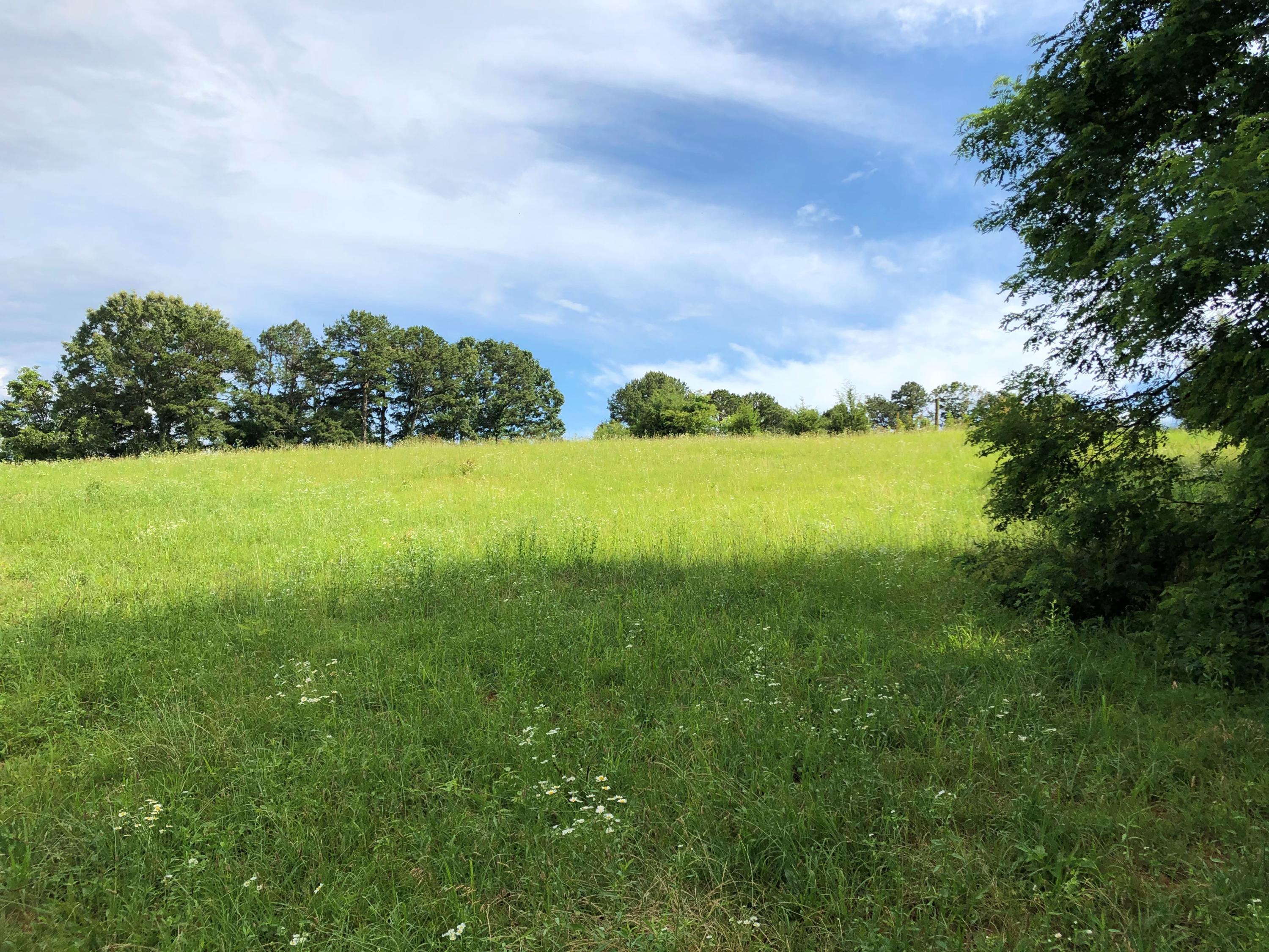 Lot 13 Chestnut Grove Road Dandridge, TN 37725 - Photo 4 of 12 Lot 13 Chestnut Grove - Dubler - 2