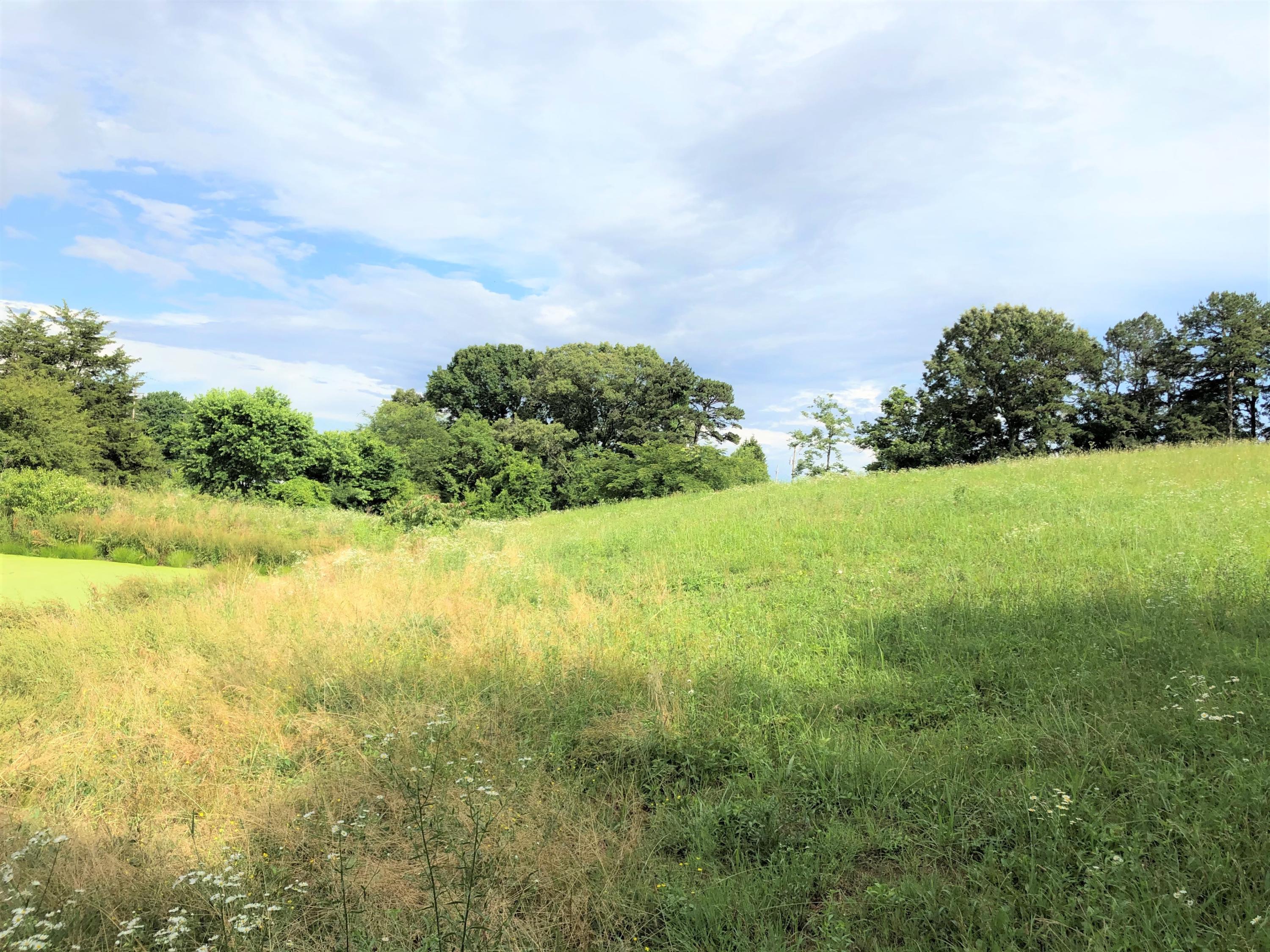 Lot 13 Chestnut Grove Road Dandridge, TN 37725 - Photo 5 of 12 Lot 13 Chestnut Grove - Dubler - 4