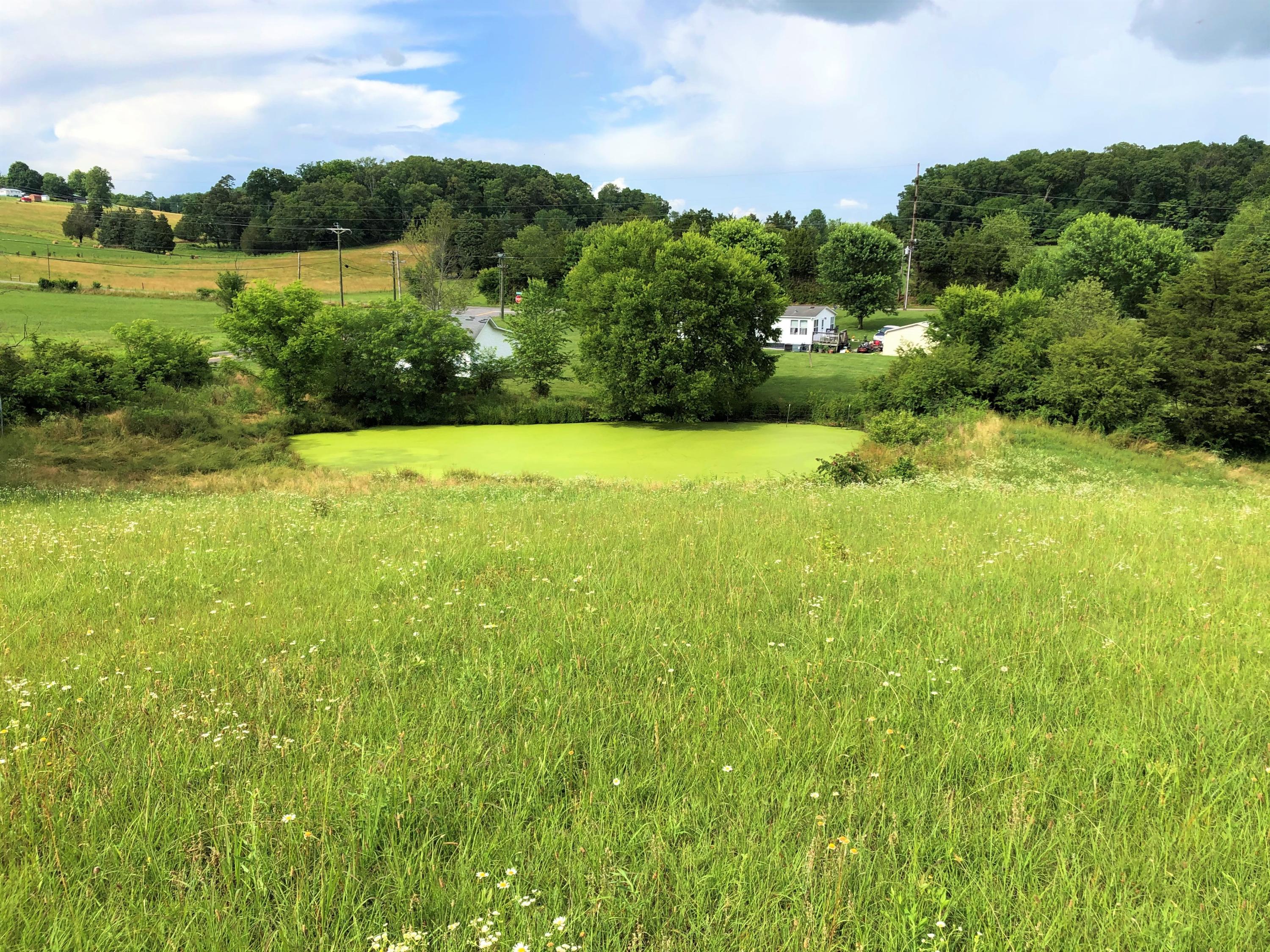 Lot 13 Chestnut Grove Road Dandridge, TN 37725 - Photo 6 of 12 Lot 13 Chestnut Grove - Dubler - 6
