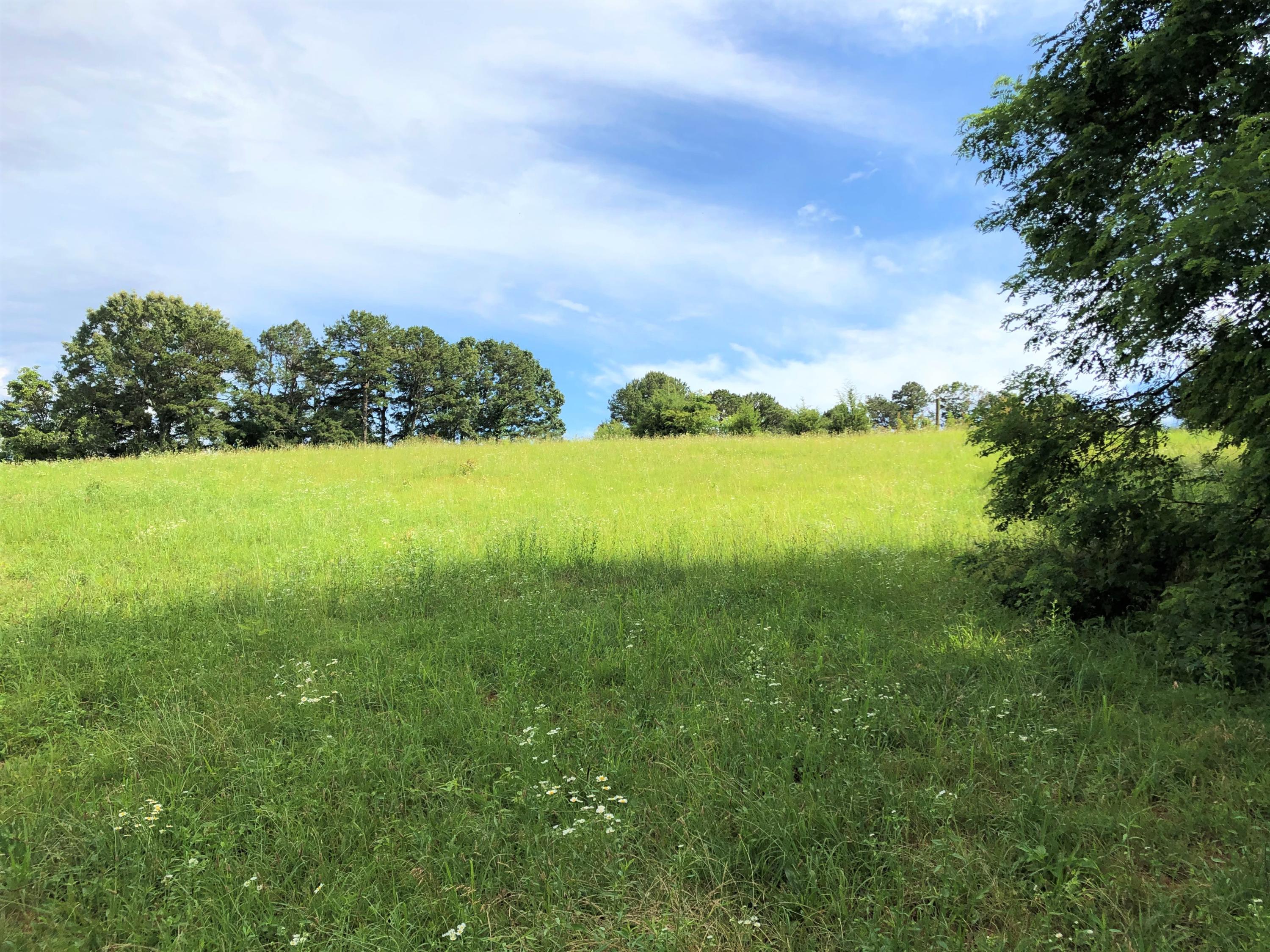 Lot 13 Chestnut Grove Road Dandridge, TN 37725 - Photo 8 of 12 Lot 13 Chestnut Grove - Dubler - 9