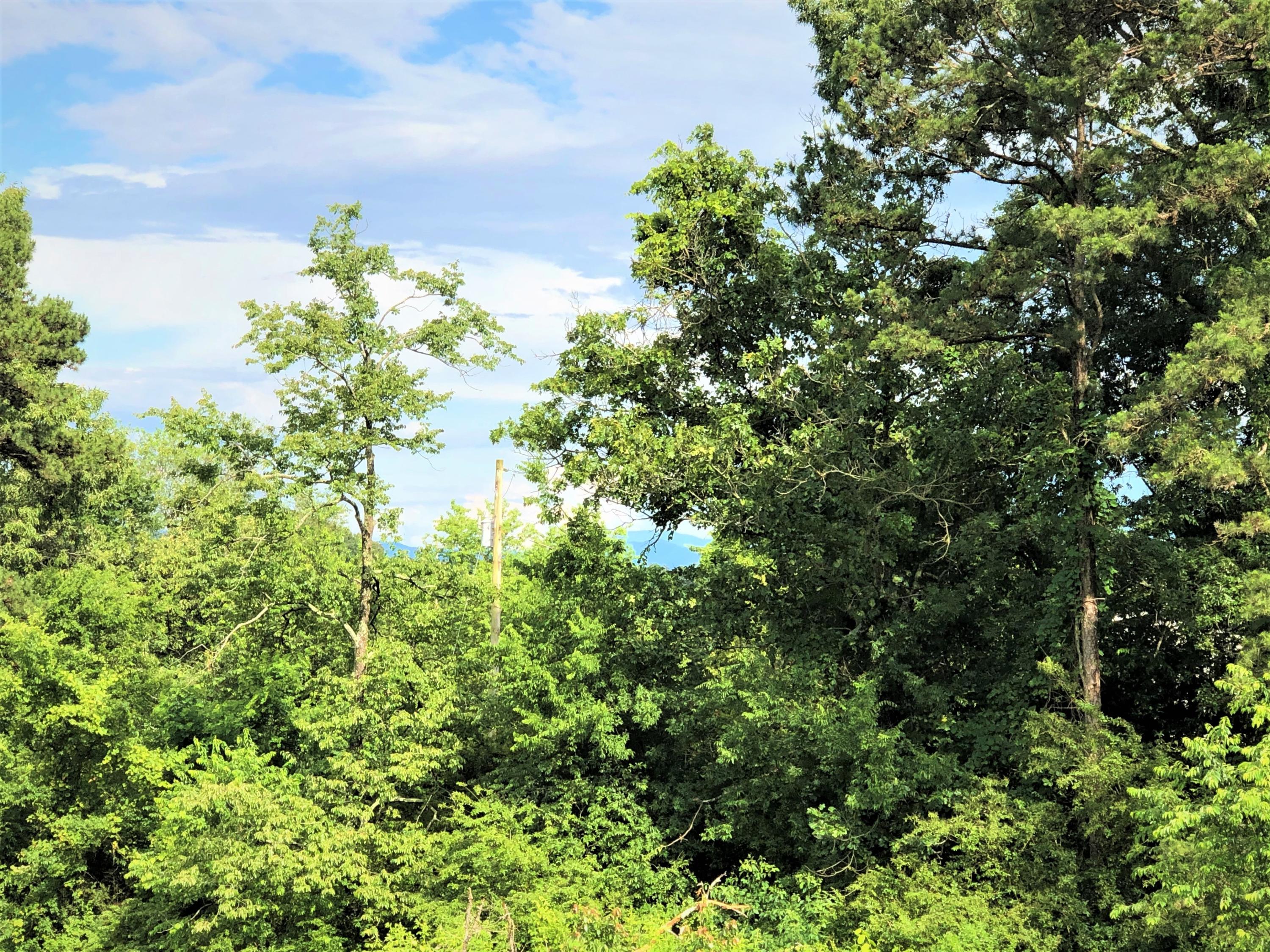 Lot 13 Chestnut Grove Road Dandridge, TN 37725 - Photo 10 of 12 Lot 13 Chestnut Grove - Dubler - 11