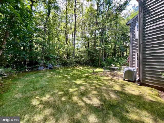 a view of backyard with green space