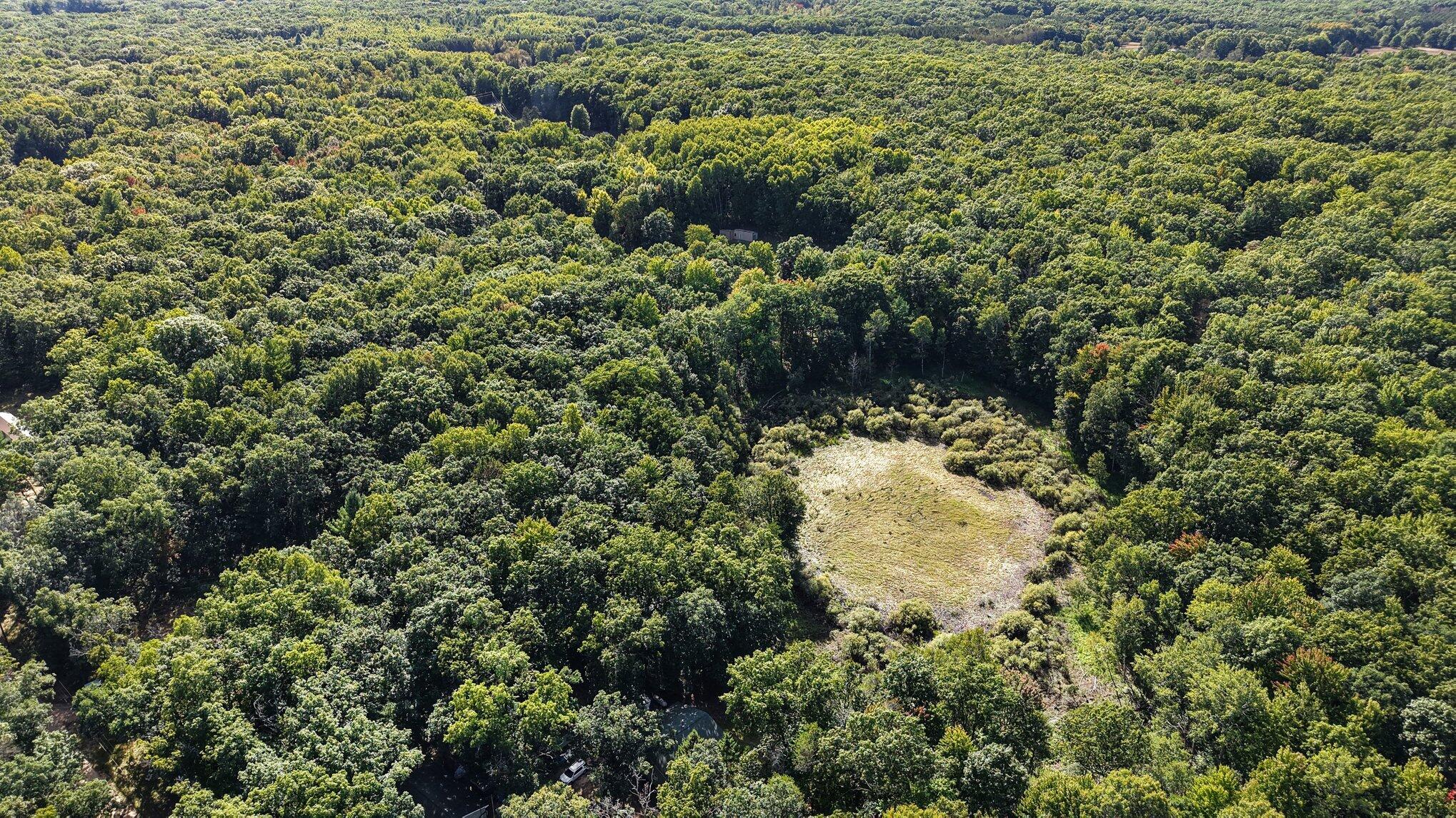 10703 North Mac Road Irons, MI 49644 - Photo 3 of 28 003_file_7544