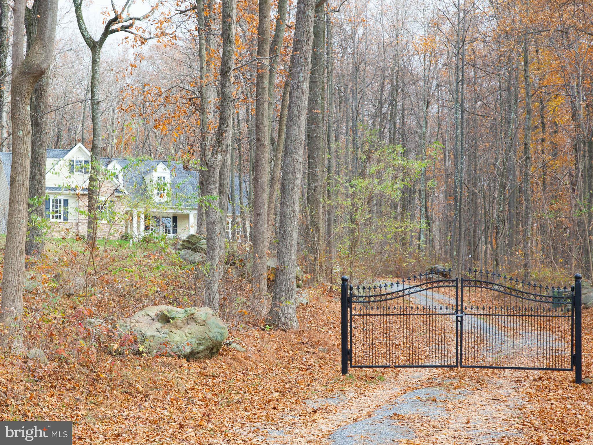 21000 Blue Ridge Mountain Road Paris, VA 20130 - Photo 1 of 21 From Street
