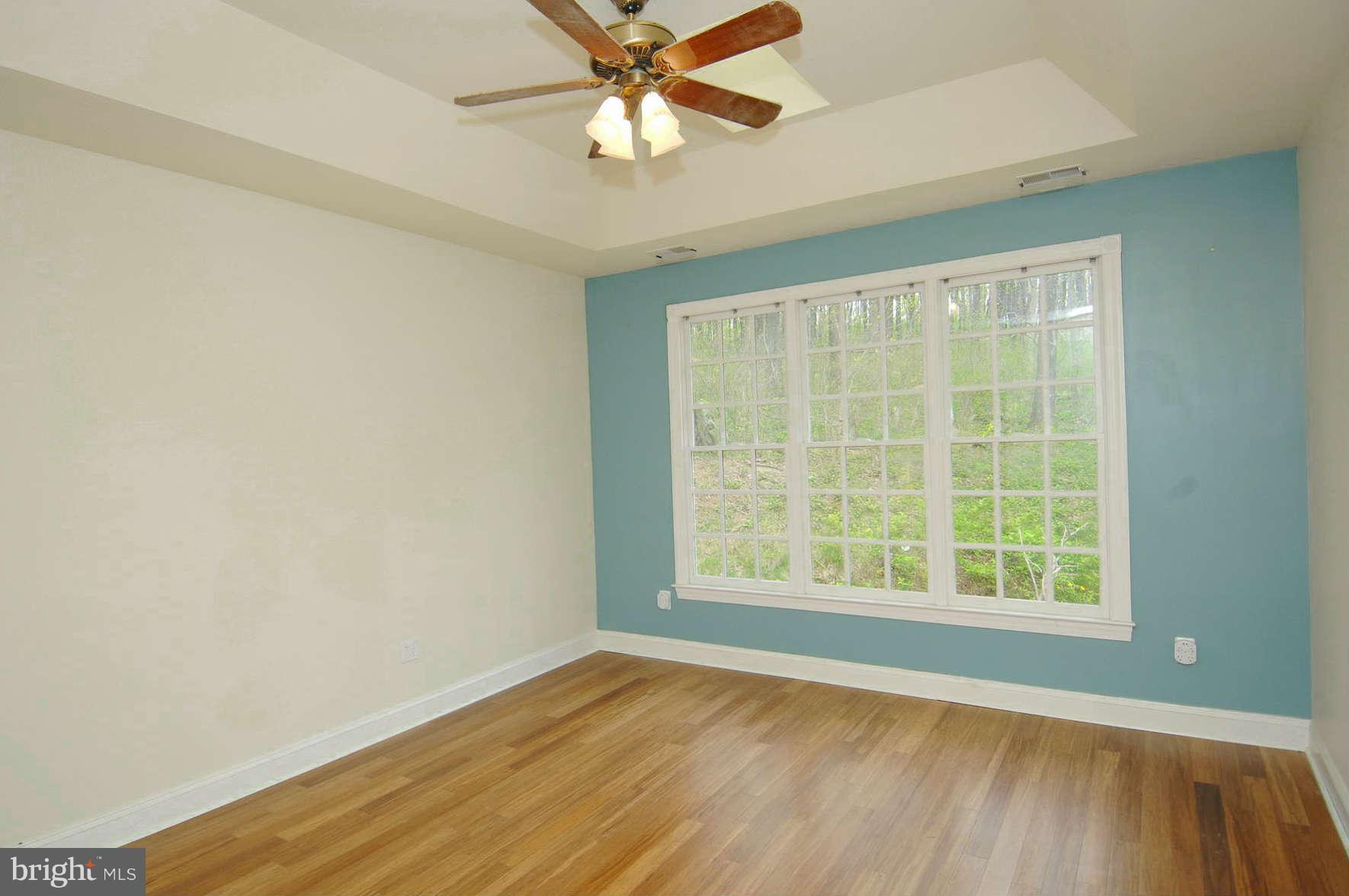 21000 Blue Ridge Mountain Road Paris, VA 20130 - Photo 14 of 21 Bedroom (Master)