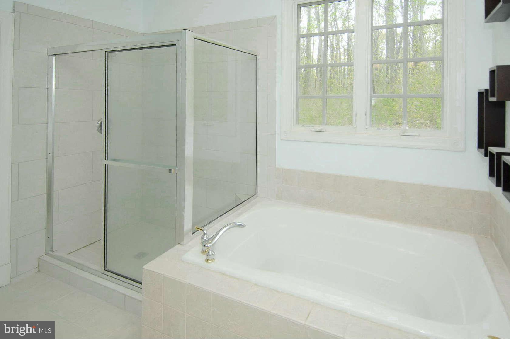 21000 Blue Ridge Mountain Road Paris, VA 20130 - Photo 15 of 21 Bath (Master)