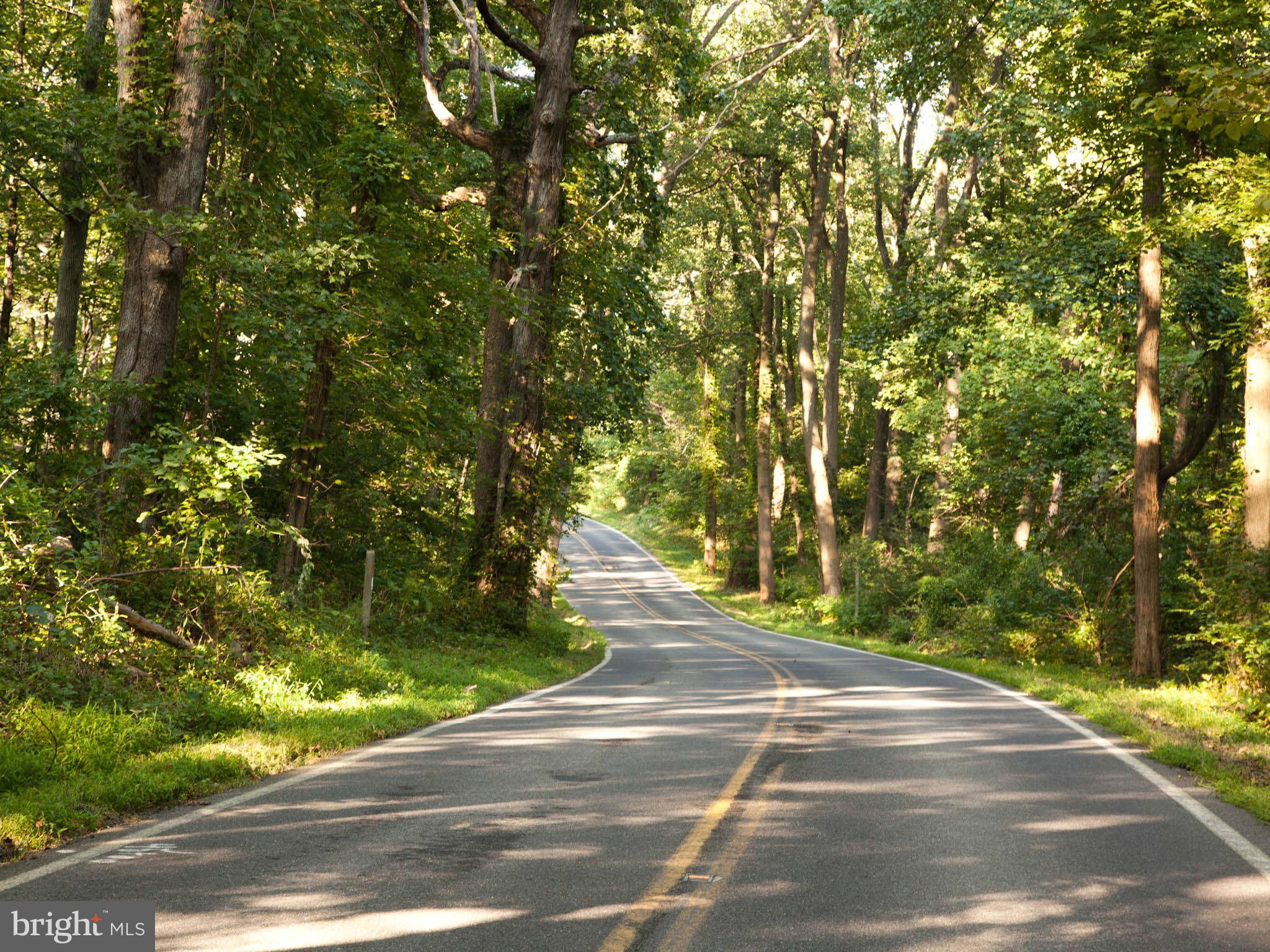 21000 Blue Ridge Mountain Road Paris, VA 20130 - Photo 20 of 21 Community