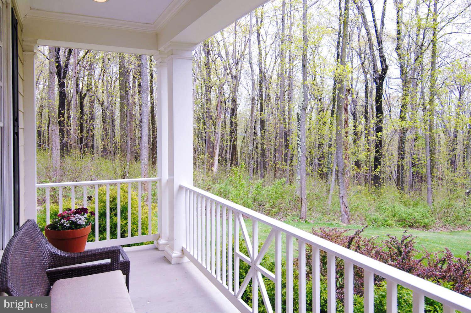 21000 Blue Ridge Mountain Road Paris, VA 20130 - Photo 4 of 21 Exterior (General)
