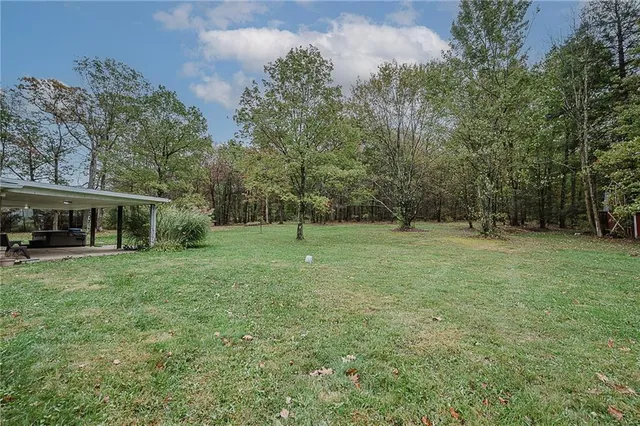 a view of a grassy field with trees in the background