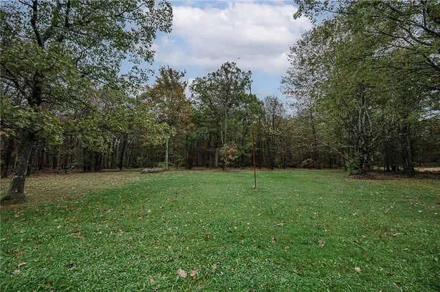 a view of a big yard with trees