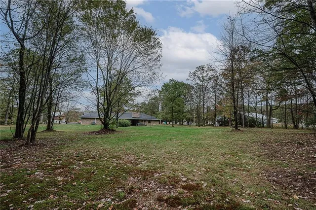a view of a backyard with large trees