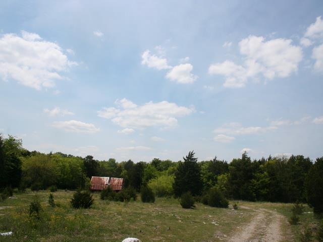 Front part of property with old shed. This is the only open part of the land. Approximately 2 acres.