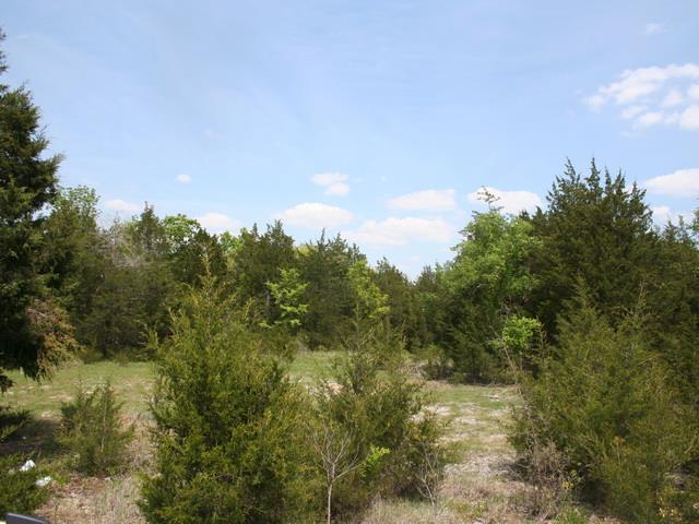 3652 Mahaley Road Lewisburg, TN 37091 - Photo 3 of 8 Front section and open area is rocky.