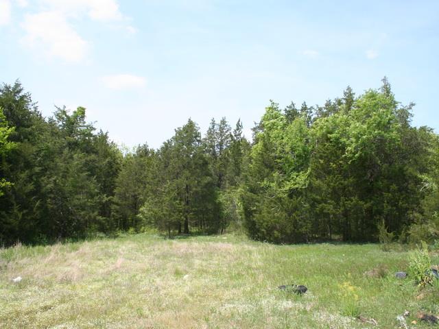 3652 Mahaley Road Lewisburg, TN 37091 - Photo 4 of 8 Good hunting land. Owner has never tried to have property perked. No public water available.
