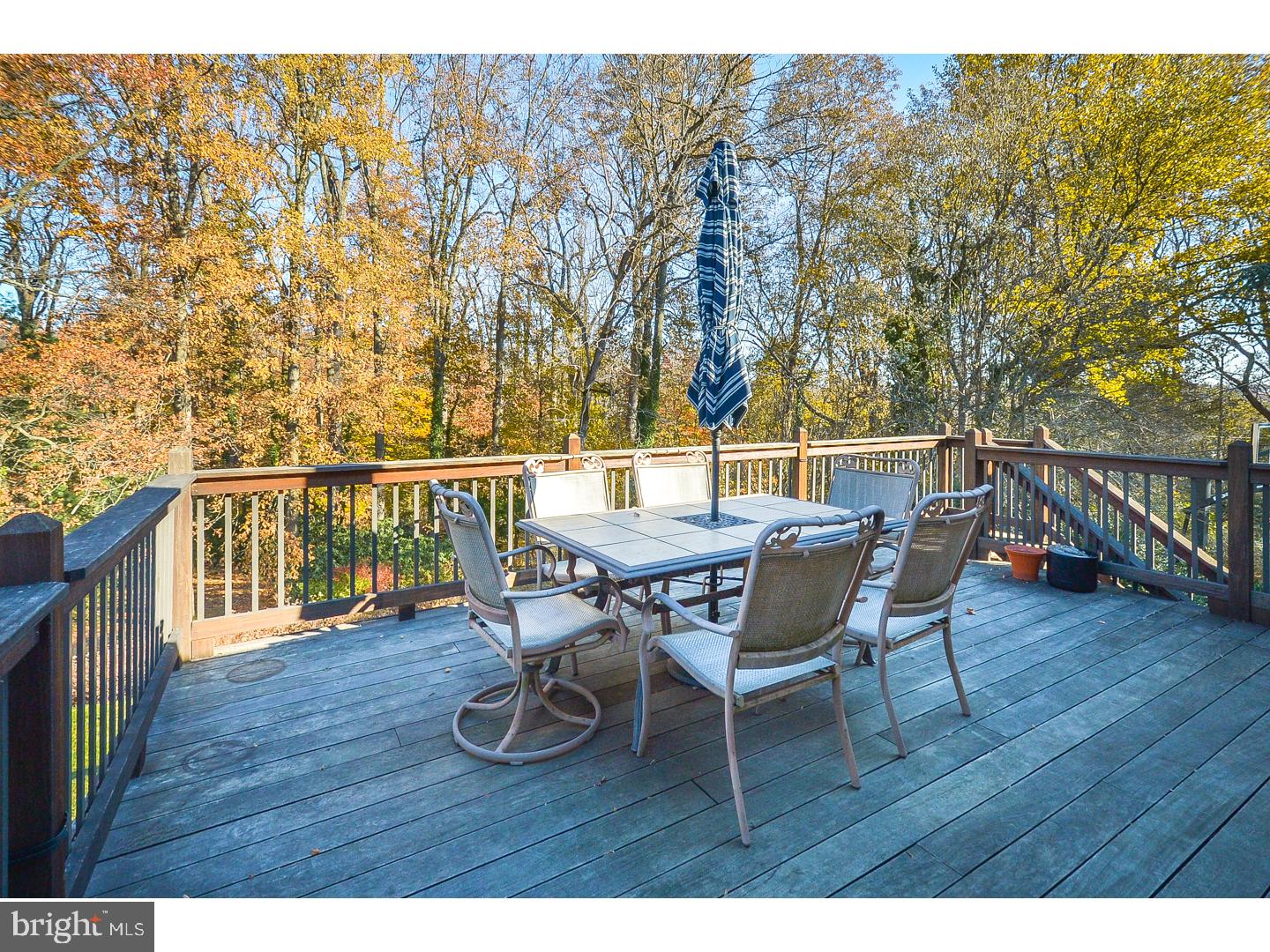 659 Pinetree Road Jenkintown, PA 19046 - Photo 22 of 25 Deck
