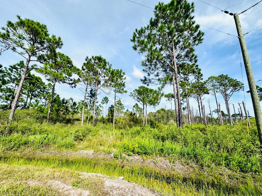 642 Ridge Road Eastpoint, FL 32328 - Photo 2 of 6