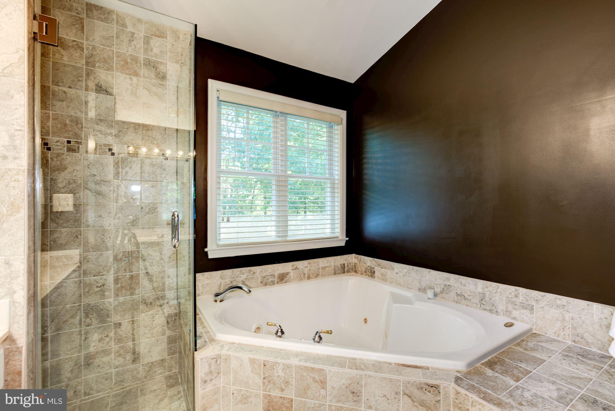 11193 Square Sail Court Reston, VA 20191 - Photo 17 of 30 Master Bathroom