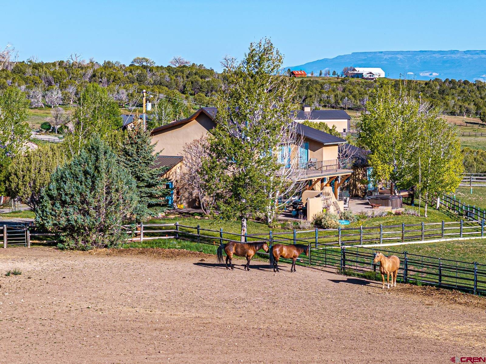2741 7750th Road Crawford, CO 81415 - Photo 2 of 45