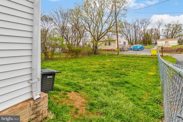 a view of a garden with large trees