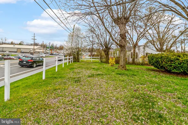 a view of a park with large trees