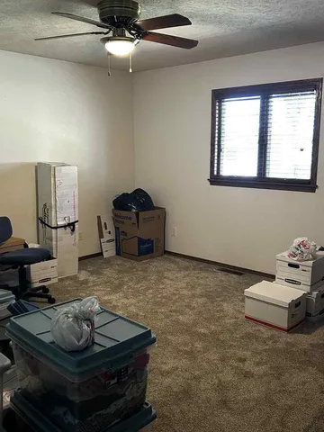 a view of a yard with plants and trees