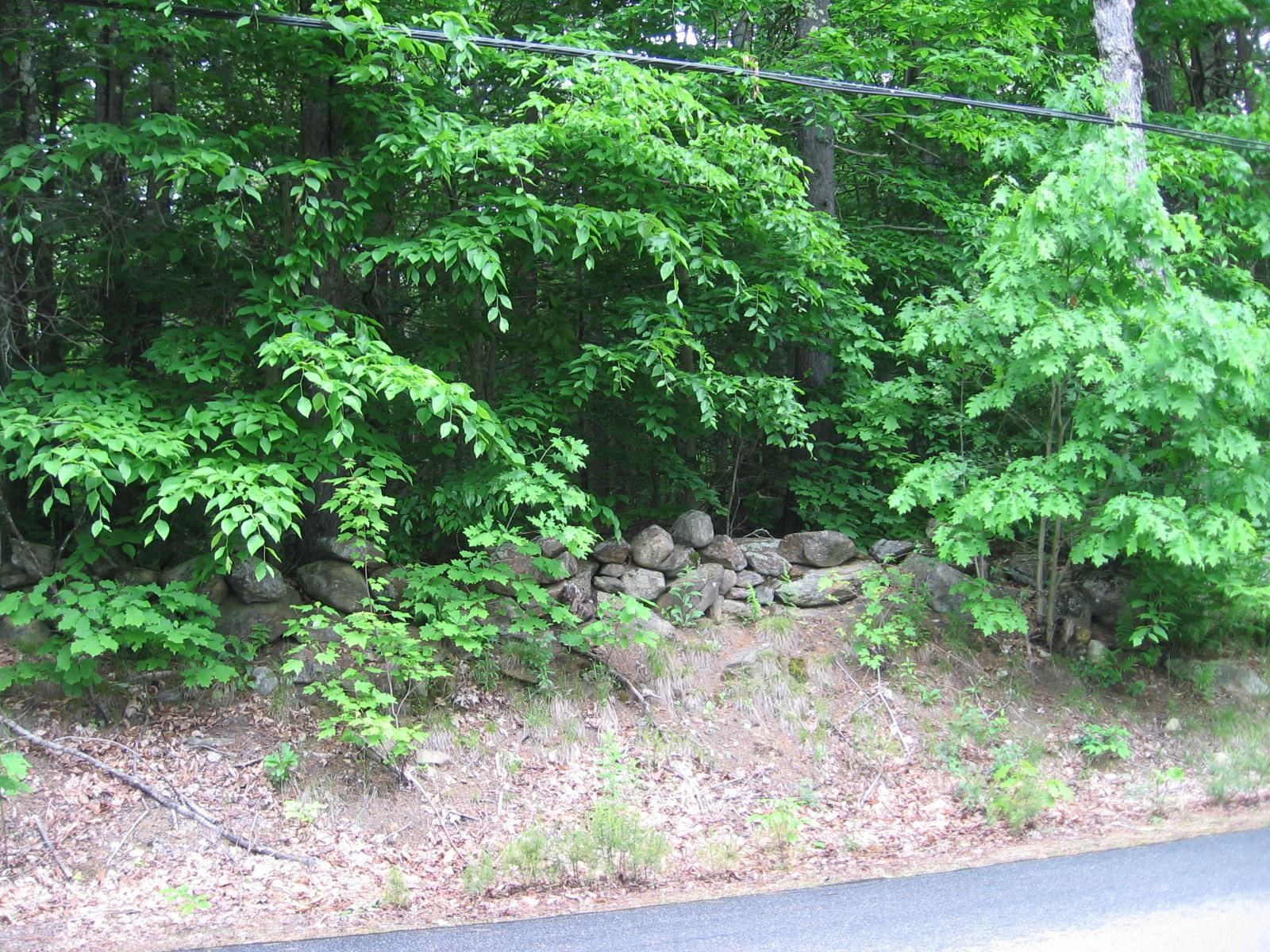 0 Loon Pond Road Gilmanton, NH 03237 - Photo 3 of 5