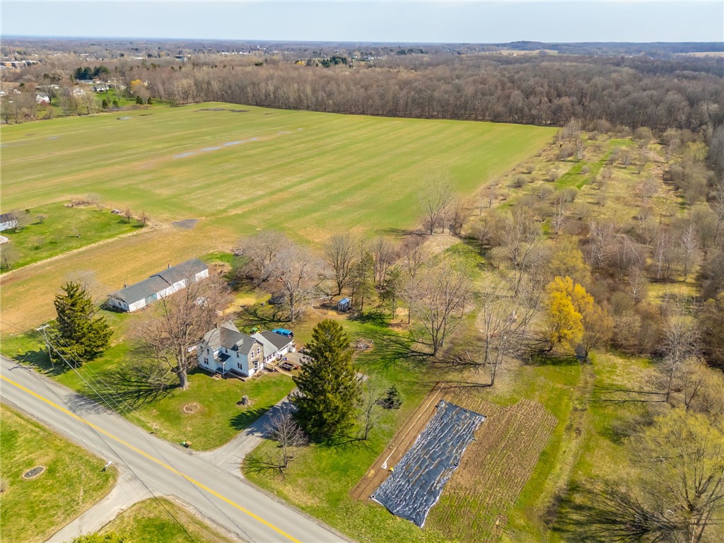 3859 Gaines Basin Road Albion, NY 14411 - Photo 42 of 50