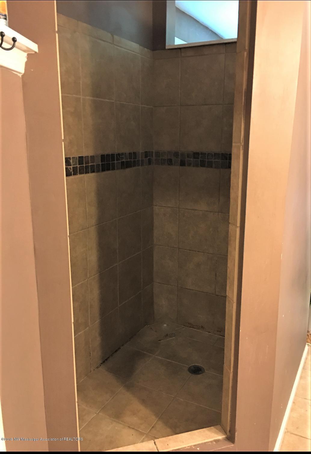 7796 Peyton Road Coldwater, MS 38618 - Photo 11 of 20 master shower (4)