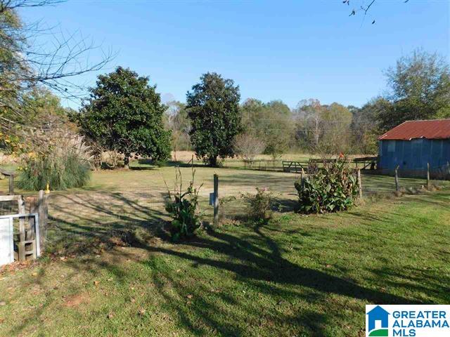 7 Bullet Lane Wilsonville, AL 35186 - Photo 6 of 12