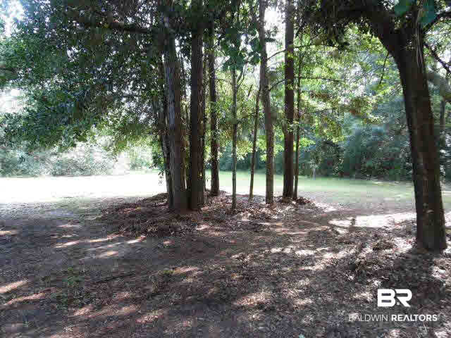 10936 Highway 98 Fairhope, AL 36532 - Photo 2 of 43