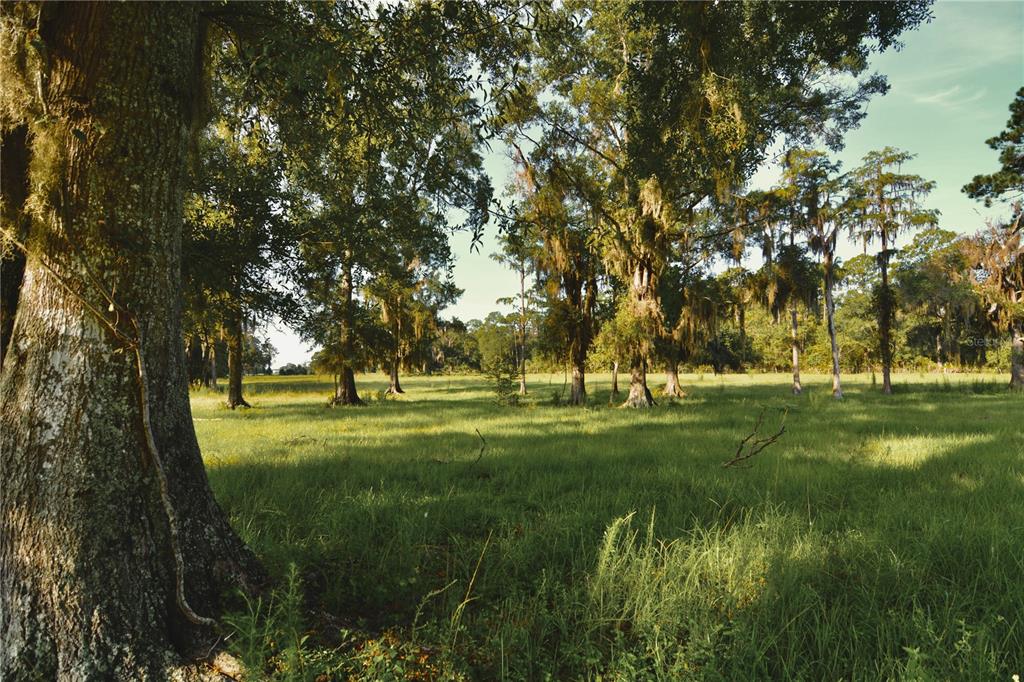 4802 Northwest 50th Road Starke, FL 32091 - Photo 53 of 75 Gallery Image 53