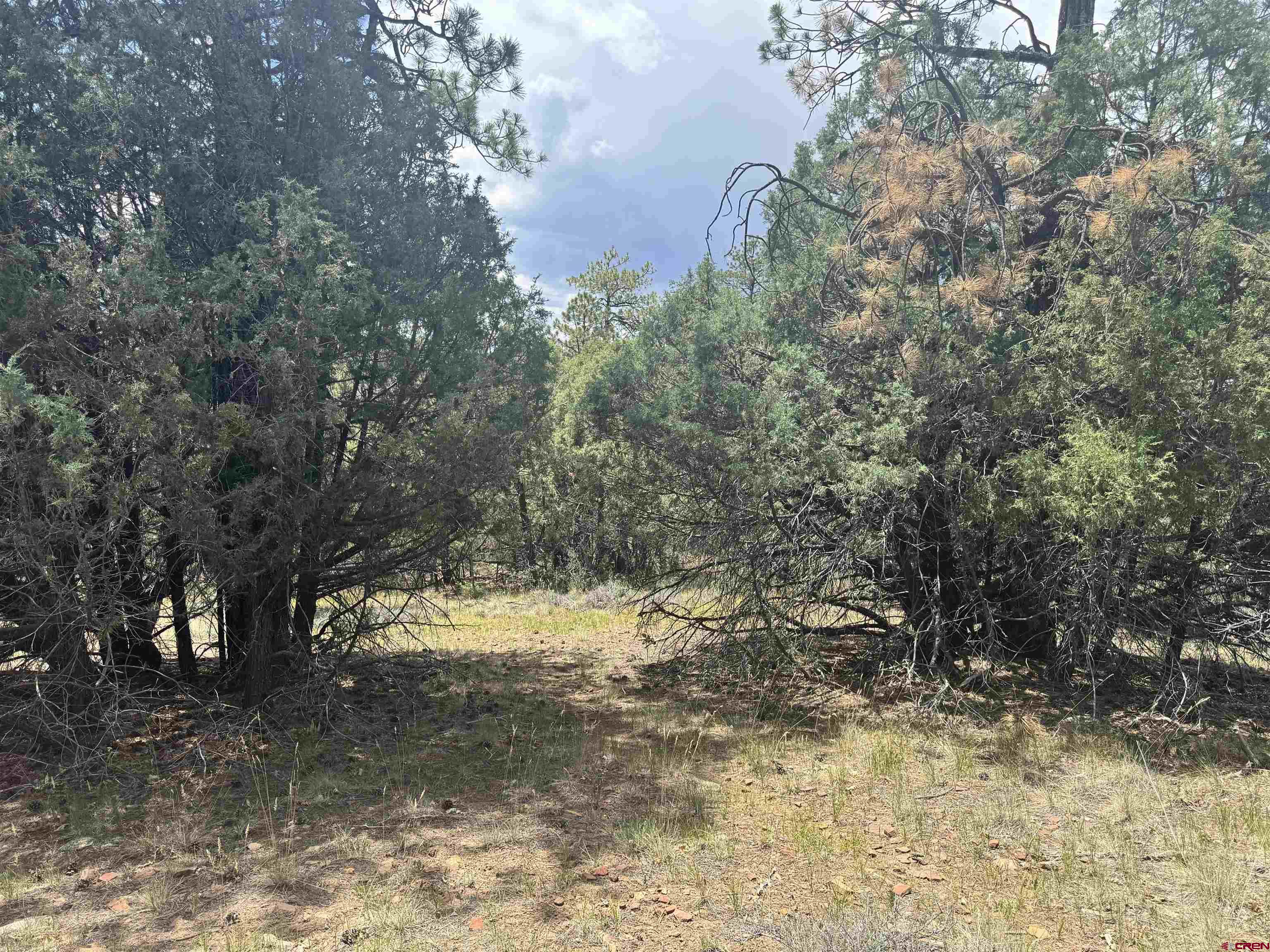 1259 Westview Road Pagosa Springs, CO 81147 - Photo 8 of 29