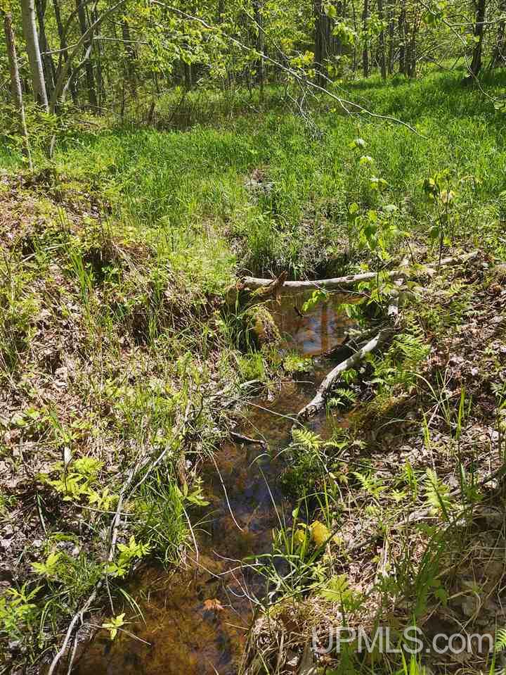 Tbd-parcel Point Abbaye Road Lanse, MI 49946 - Photo 23 of 25