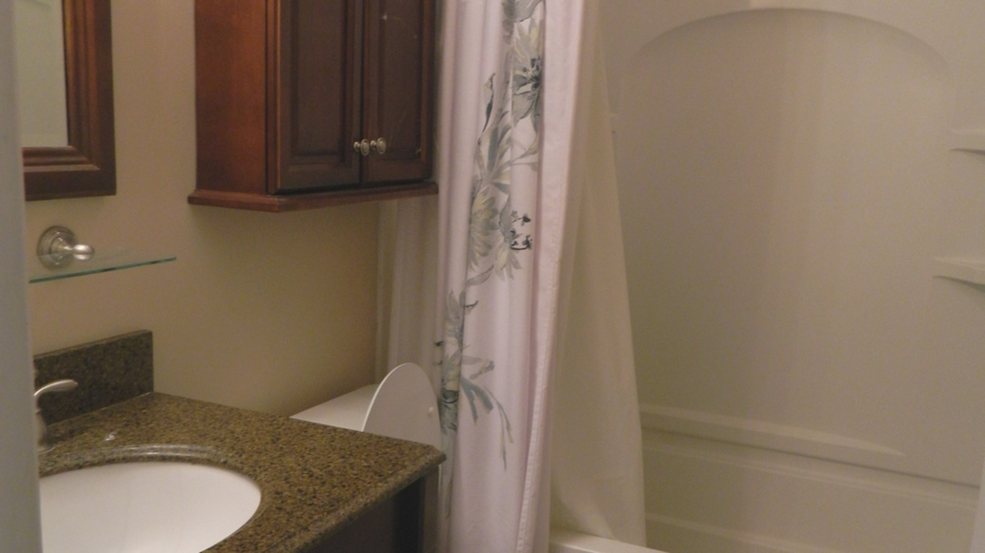 1101 South Raven Road Shorewood, IL 60404 - Photo 20 of 24 a bathroom with a granite countertop sink and a mirror