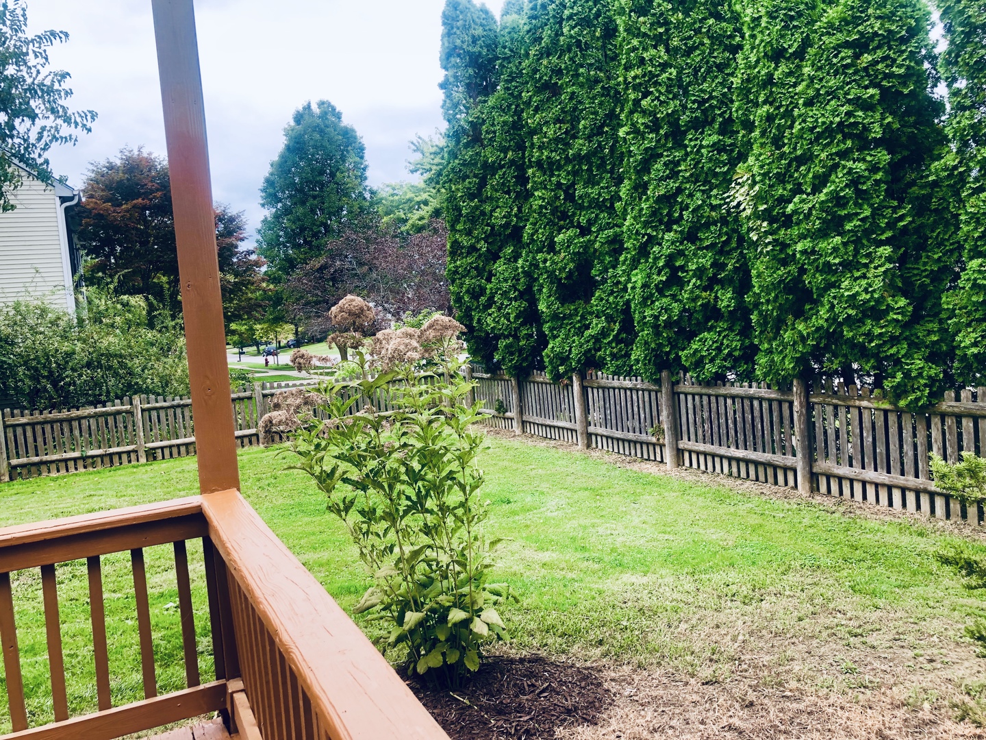 1101 South Raven Road Shorewood, IL 60404 - Photo 9 of 24 a view of a backyard with a garden