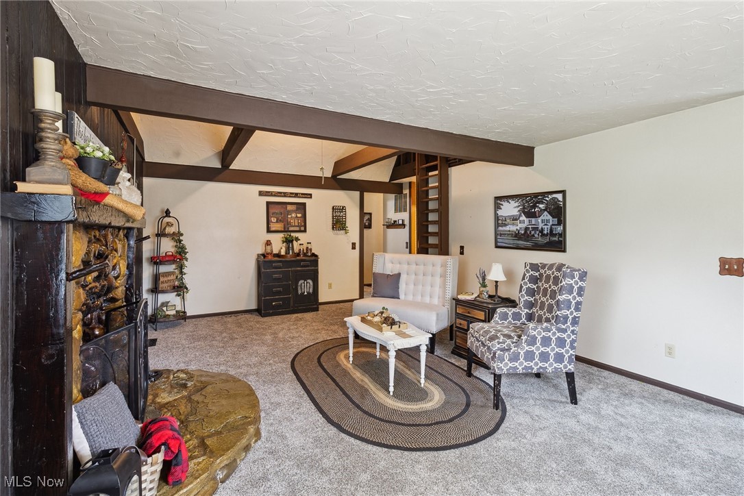 2860 Middle Road Pierpont, OH 44082 - Photo 34 of 50 Carpeted living room featuring baseboards and a textured ceiling