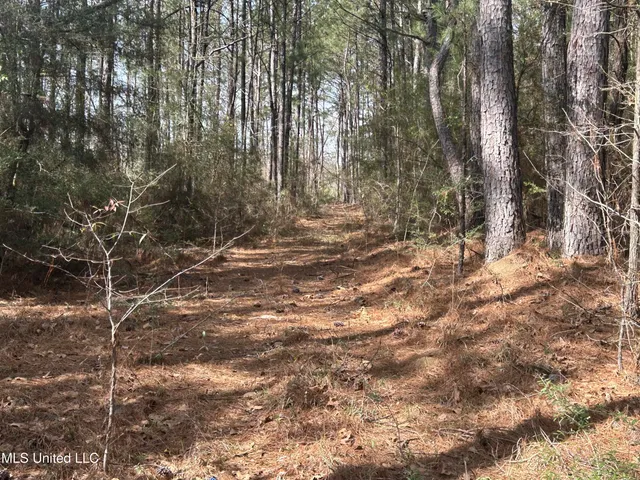 $39,500 | 0 Jordan Hill Road, Carson, MS 39427