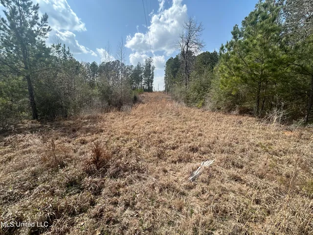 $39,500 | 0 Jordan Hill Road, Carson, MS 39427