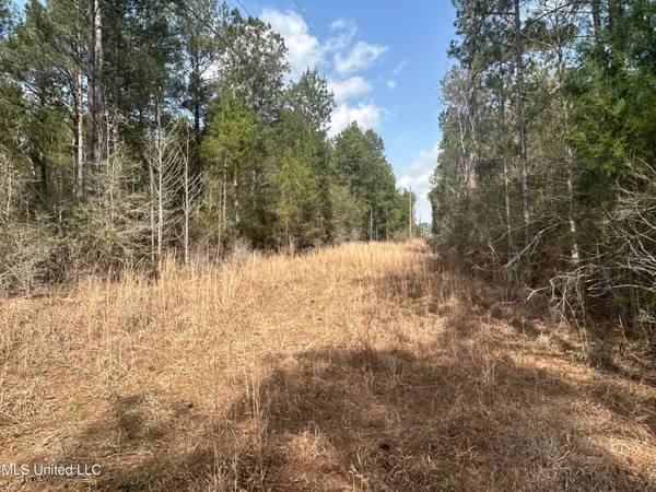 $39,500 | 0 Jordan Hill Road, Carson, MS 39427