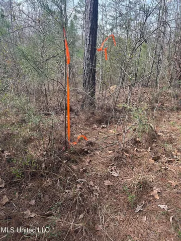 $39,500 | 0 Jordan Hill Road, Carson, MS 39427