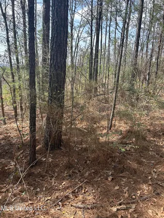 $39,500 | 0 Jordan Hill Road, Carson, MS 39427
