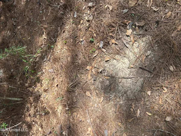 $39,500 | 0 Jordan Hill Road, Carson, MS 39427