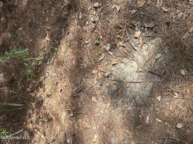 $39,500 | 0 Jordan Hill Road, Carson, MS 39427