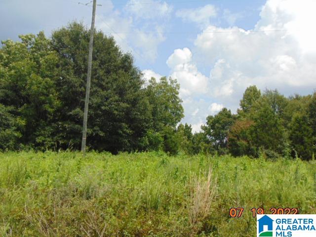 59 County Road 59 Verbena, AL 36091 - Photo 3 of 5