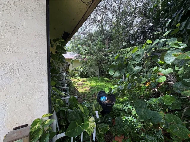a view of flowers in a garden