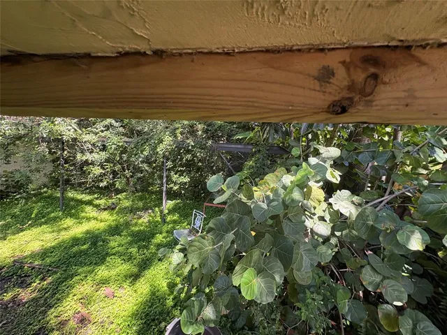 a picture of flowers