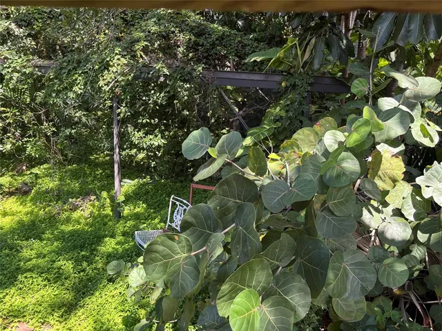 a view of a plant with a yard